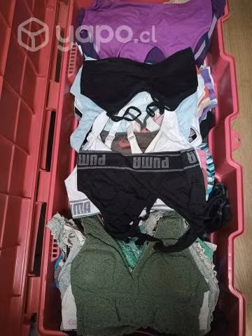Ropa / fardos americanos