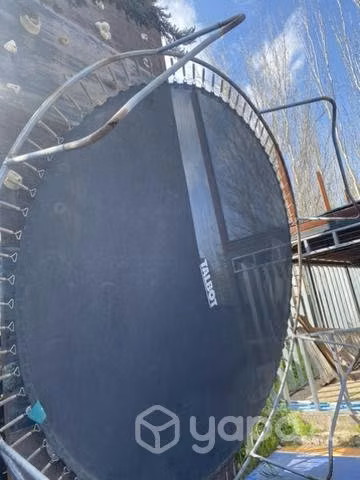 Cama elástica gigante 5 metros de ancho