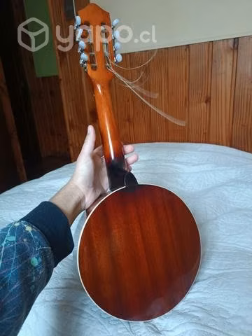 Mandolina-Banjo / Banjolina Meistehaft 8 Cuerdas