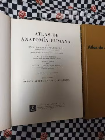 Atlas de Anatomía Humana Tomo I y II Spalteholz