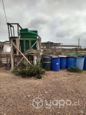 terreno