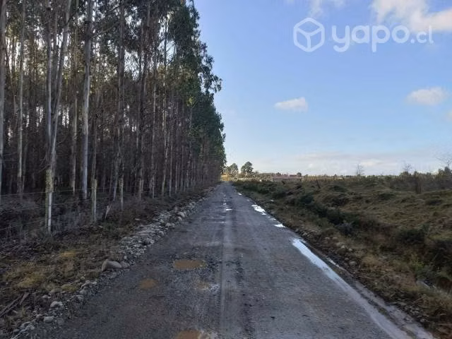 Terreno Media Hectárea Maullín Sector El vocal