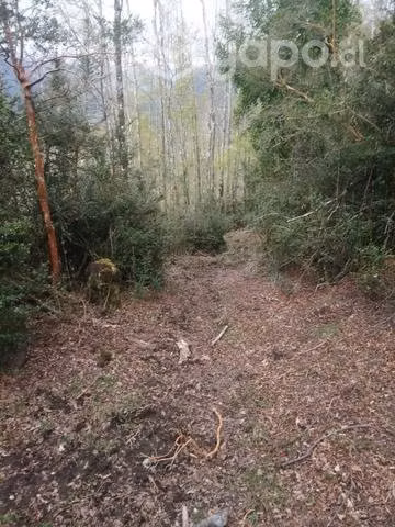 Terreno en comuna de futrono - Imagen 3