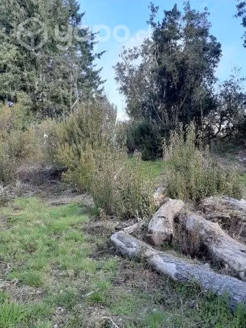 Parcela 5000 m² a metros camino Villarica-Pucón