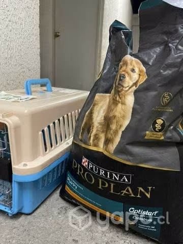 CANIL + PURINA PRO PLAN PUPYY 10kg