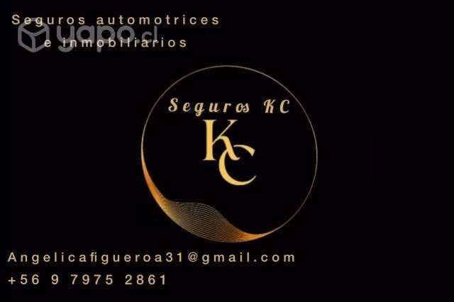 Gestor de seguros