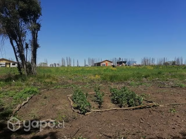 Casa con terreno de 5000 mtrs2 - Imagen 5