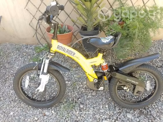 Bici - Imagen 2