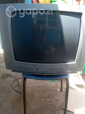 Tv PHILIPS 21 pulgadas