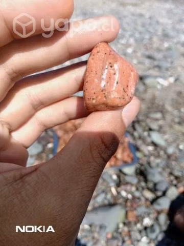 Piedras preciosas de coral rojo. - Imagen 4