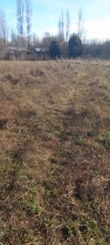 Terreno - Imagen 6