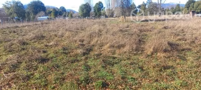 Terreno