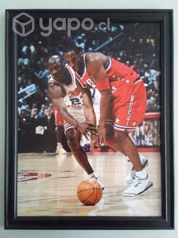 Cuadros de KOBE BRYANT