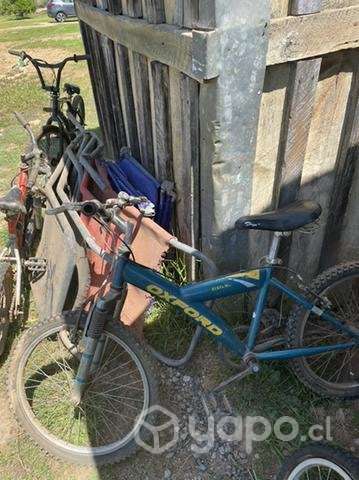 Bicicleta oxford - Imagen 5