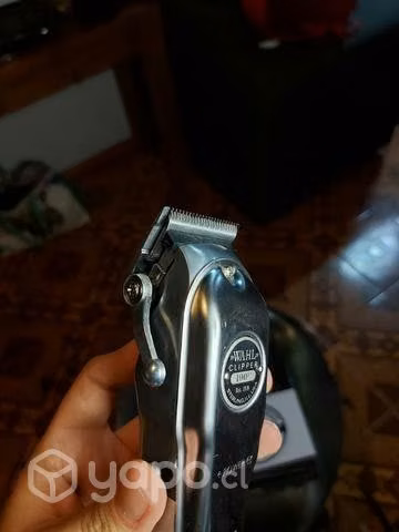 Clipper Wahl 100 Years