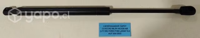Amortiguador Capot Derecho Ford F150 Lariat 5.0