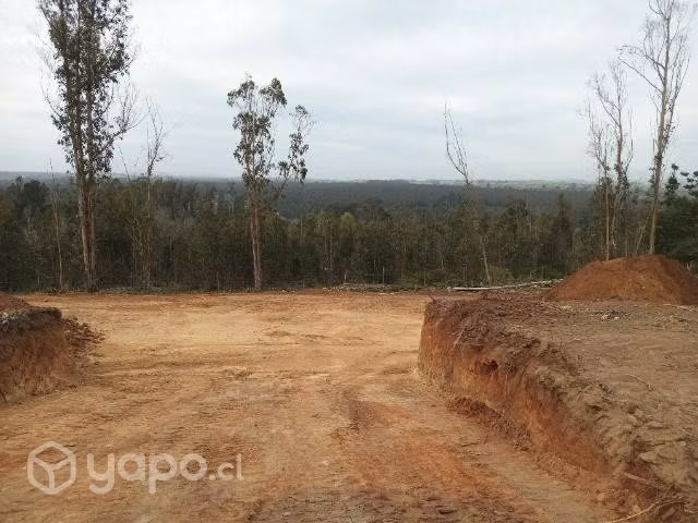 Sitio y Terreno El Tabo Urbanizados