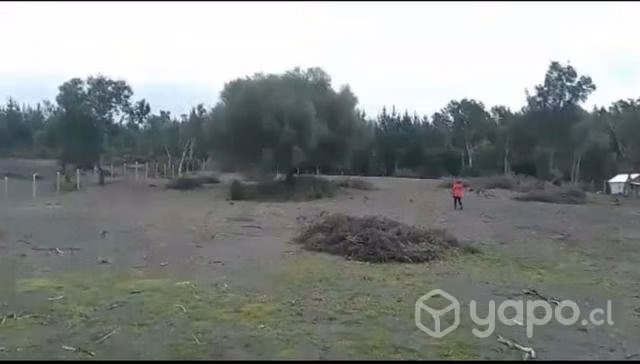 Terreno 5000 mtr cuadrados en cabrero