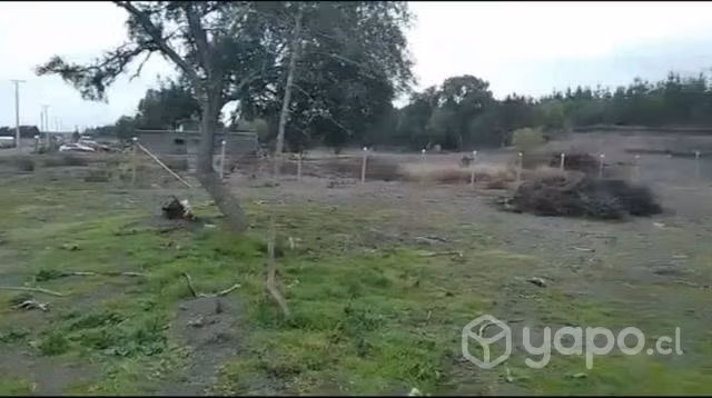 Terreno 5000 mtr cuadrados en cabrero