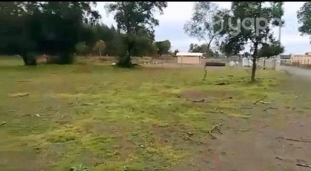 Terreno 5000 mtr cuadrados en cabrero