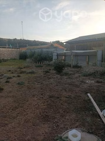 casa sólida - Imagen 2