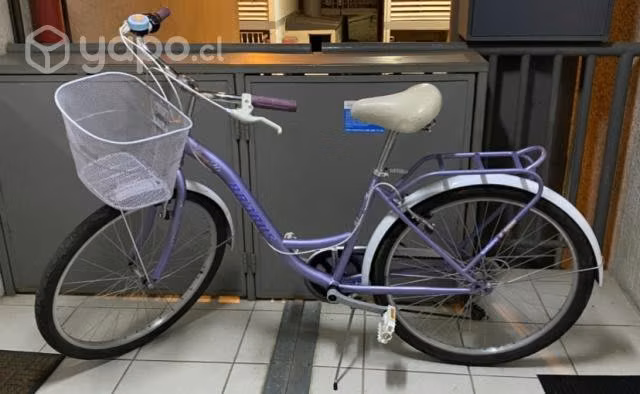 Bicicleta de Paseo