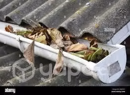 Instalacion de canaletas