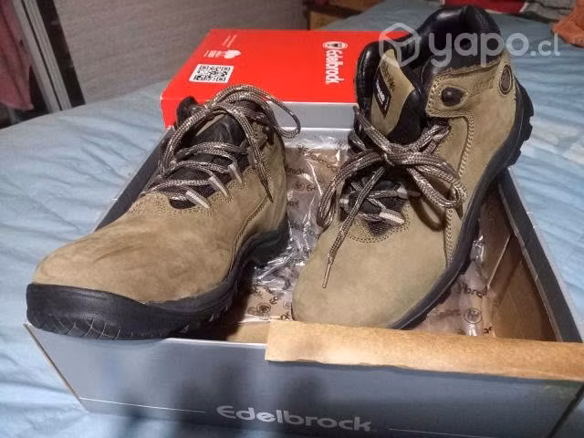 Botin Edelbrock