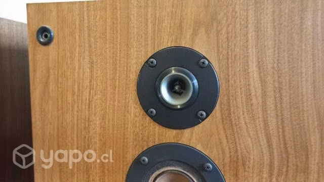 Parlantes Sony SS-2250 Carbocon - Imagen 6