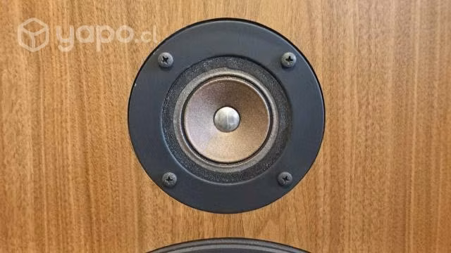 Parlantes Sony SS-2250 Carbocon - Imagen 5