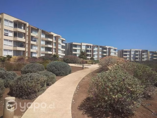 Cond.lomas De Papudo, Depto 3d;2b, Est. Y Bod, Bue