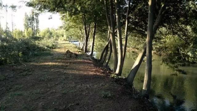 Parcela en Yugay, 5000 m2 - Imagen 8