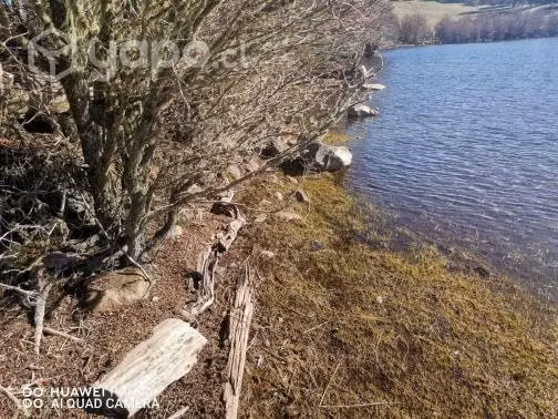 Vendo terreno Lago Pollux