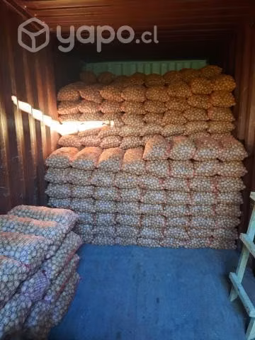 Nueces por mayor con cascara ULTIMOS 3.000KILOS
