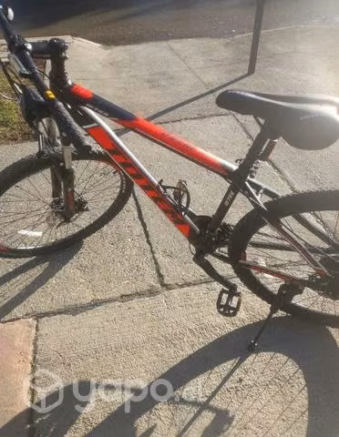 Bicicleta totem