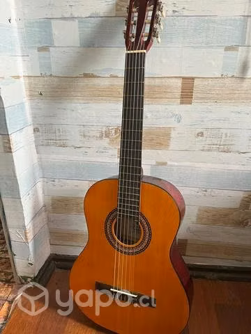 Guitarra acústica
