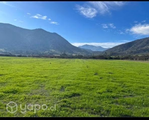 Se vende lote de 44 parcelas en el sector delmelón