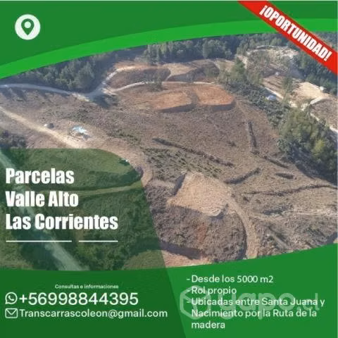 Parcelas entre santa juana y nacimiento