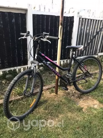 Bicicleta mujer