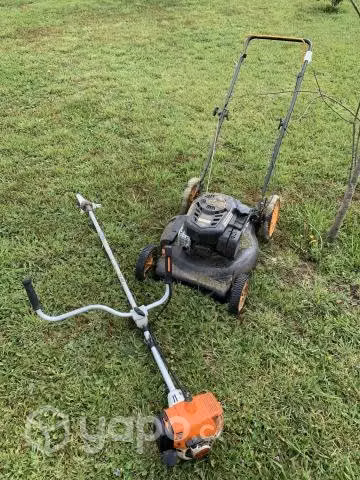 Servicio corte de pasto y murras