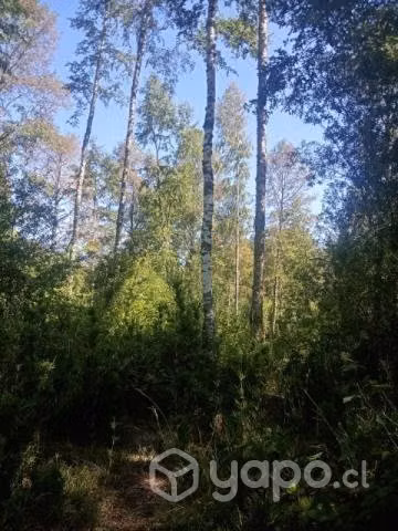 terreno en el campo