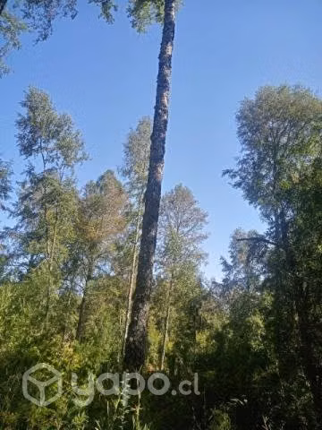 terreno en el campo