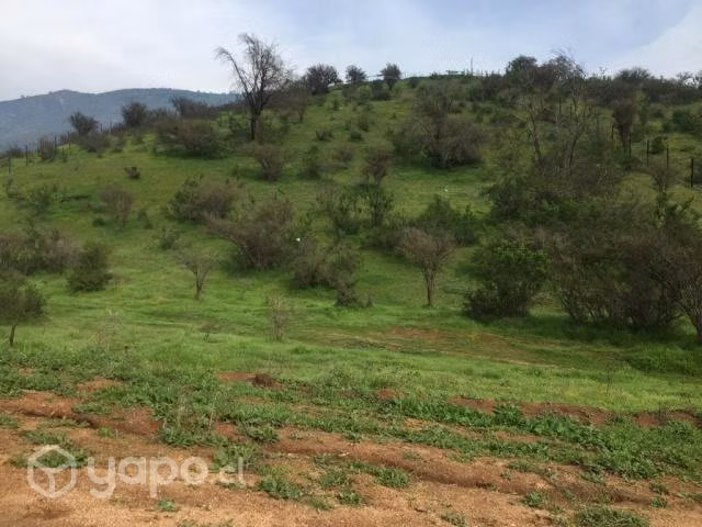 Terreno con rol propio a 25m de Melipilla