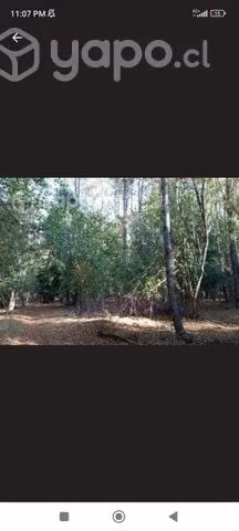Linda parcela de 5.7 ha en quilleco