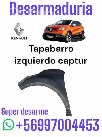 Tapabarro izquierdo captur