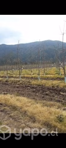terreno