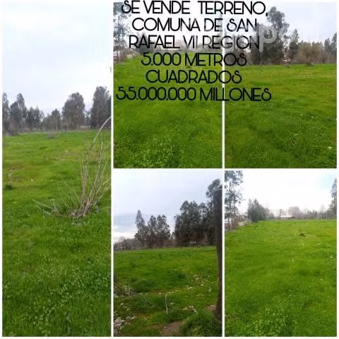 terreno 5000 m2