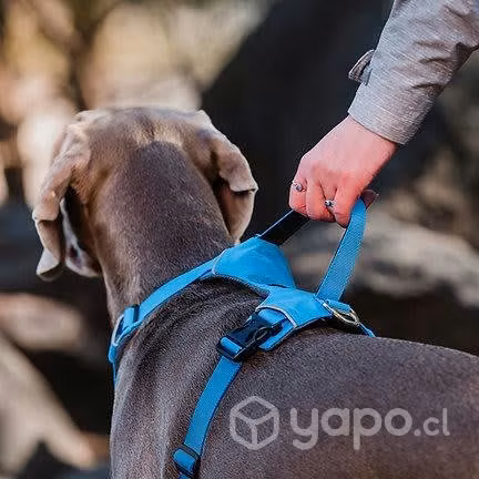 Arnés Outdoor. Petlounge. Talla S