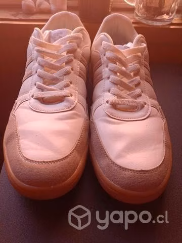 Zapatillas North Star