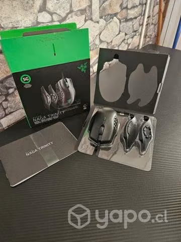 Mouse gamer